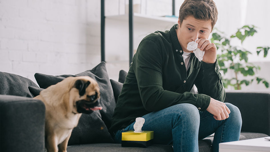 Getting an air purifier is one of the best approaches to boost your home’s indoor air quality. Discover more about the three top products. 